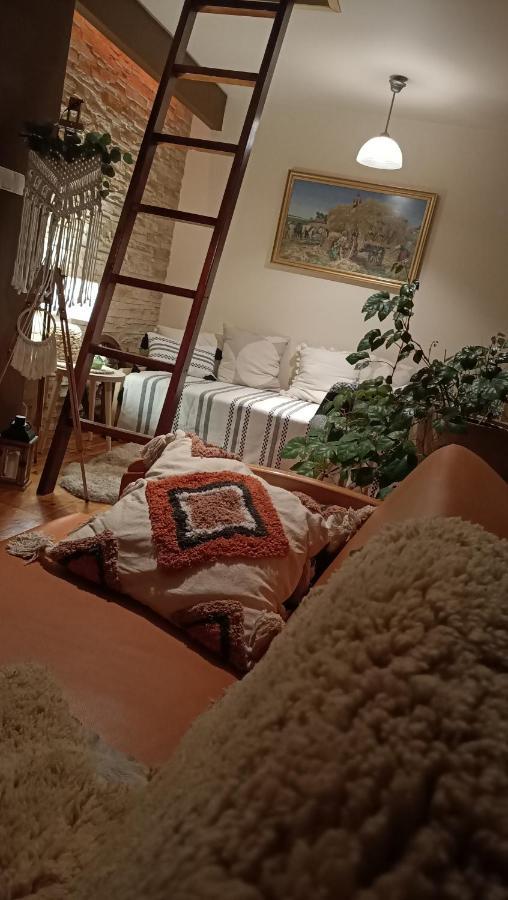 Apartament U Agaty Czernichow Krakow Zator المظهر الخارجي الصورة
