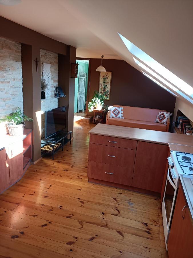 Apartament U Agaty Czernichow Krakow Zator المظهر الخارجي الصورة