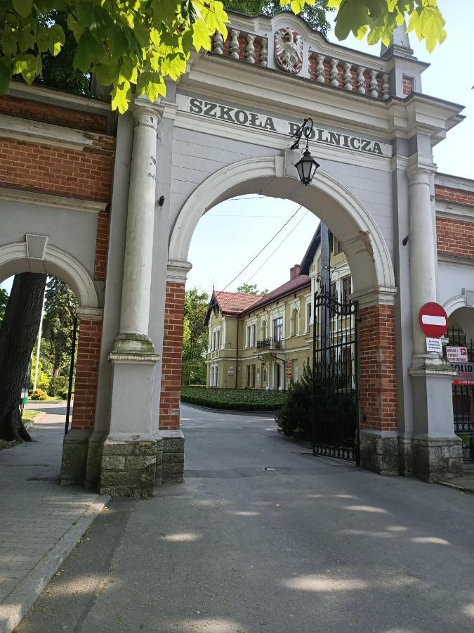 Apartament U Agaty Czernichow Krakow Zator المظهر الخارجي الصورة
