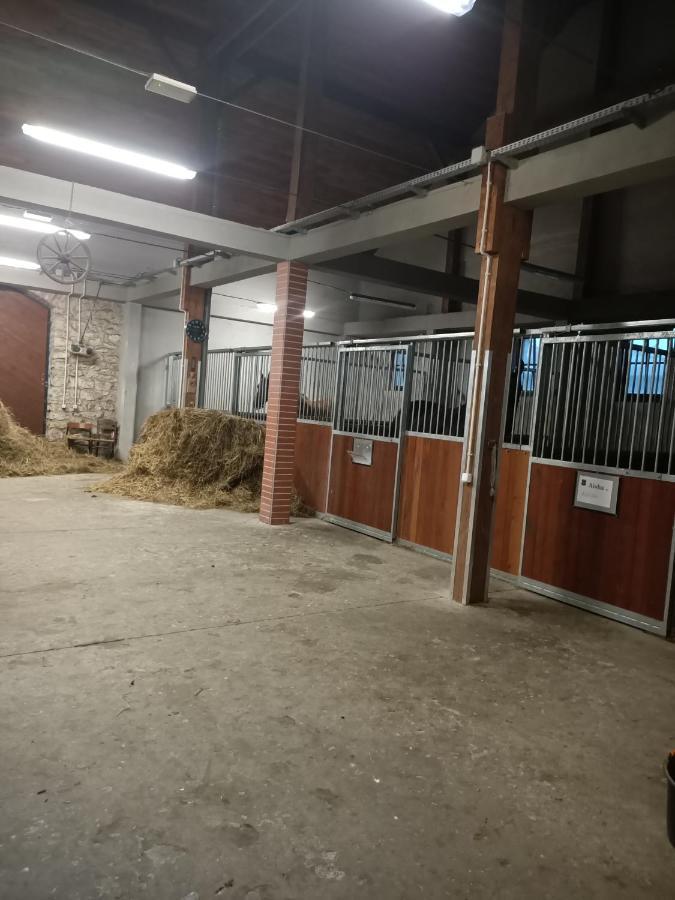 Apartament U Agaty Czernichow Krakow Zator المظهر الخارجي الصورة